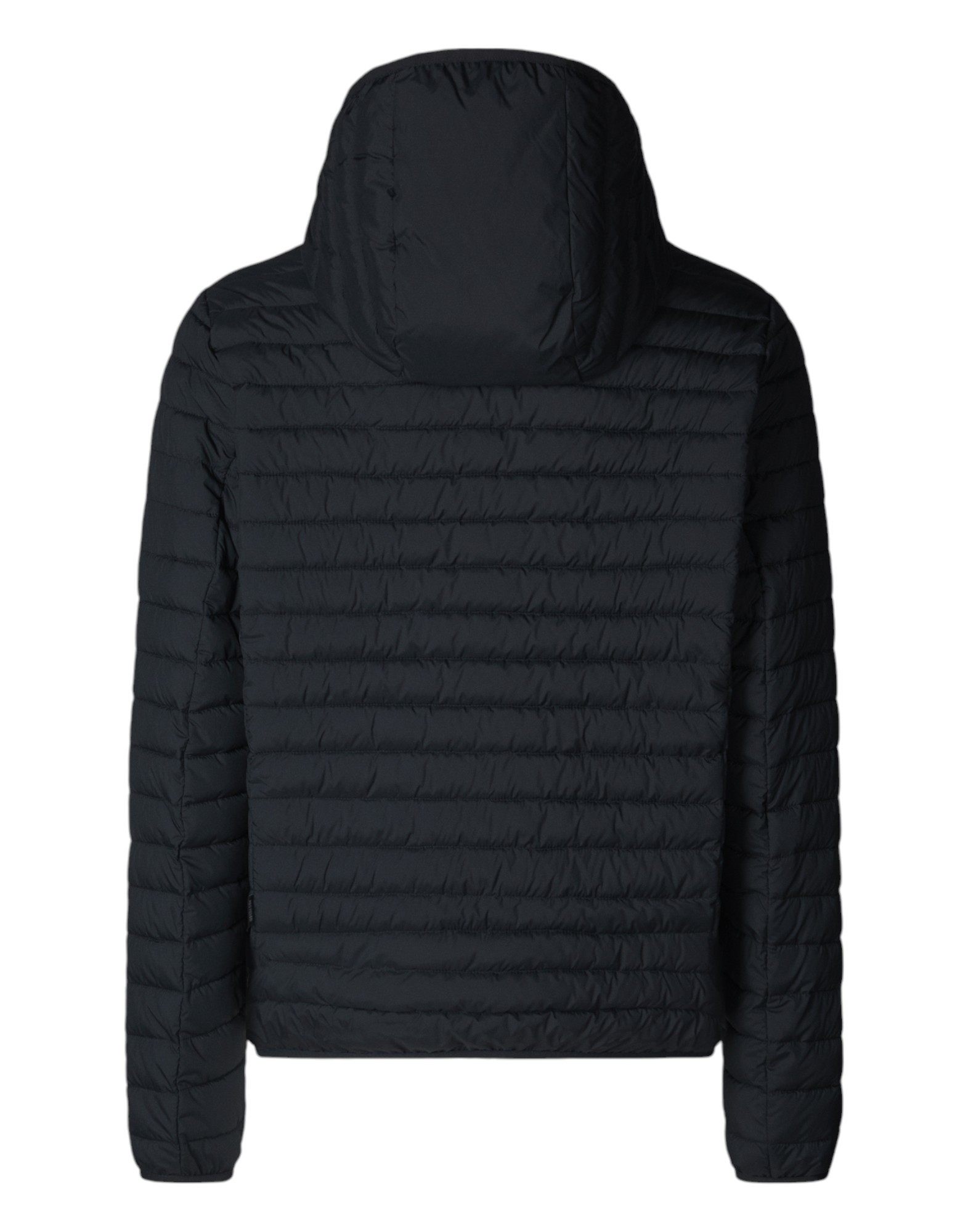 Hooded Jacket