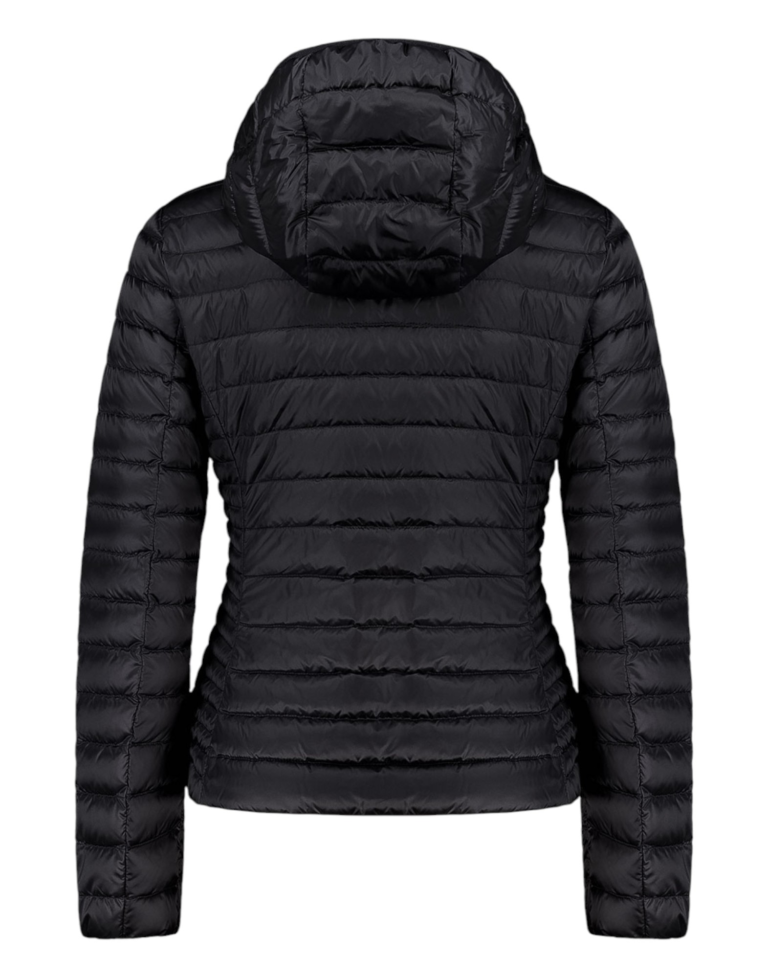 Piumino modello Carrie - Light Down Hoody Jkt 800Fp